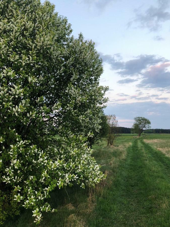 Sosnowka - Dom Wypoczynkowy Na Kurpiach Piasutno Gietki Exterior foto